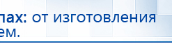 СКЭНАР-1-НТ (исполнение 02.1) Скэнар Про Плюс купить в Златоусте, Аппараты Скэнар купить в Златоусте, Официальный сайт Дэнас kupit-denas.ru
